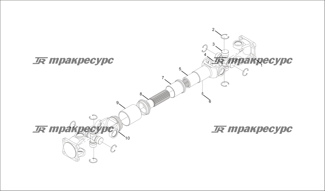 P000025.png
