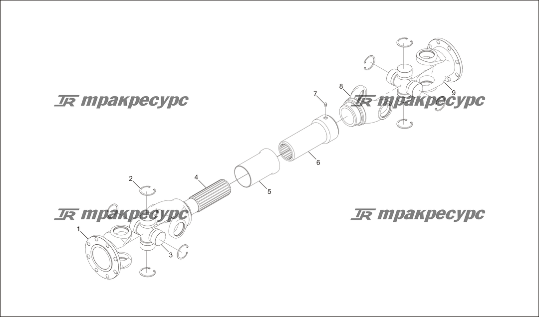 P000025.png
