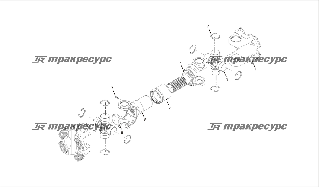 P000025.png