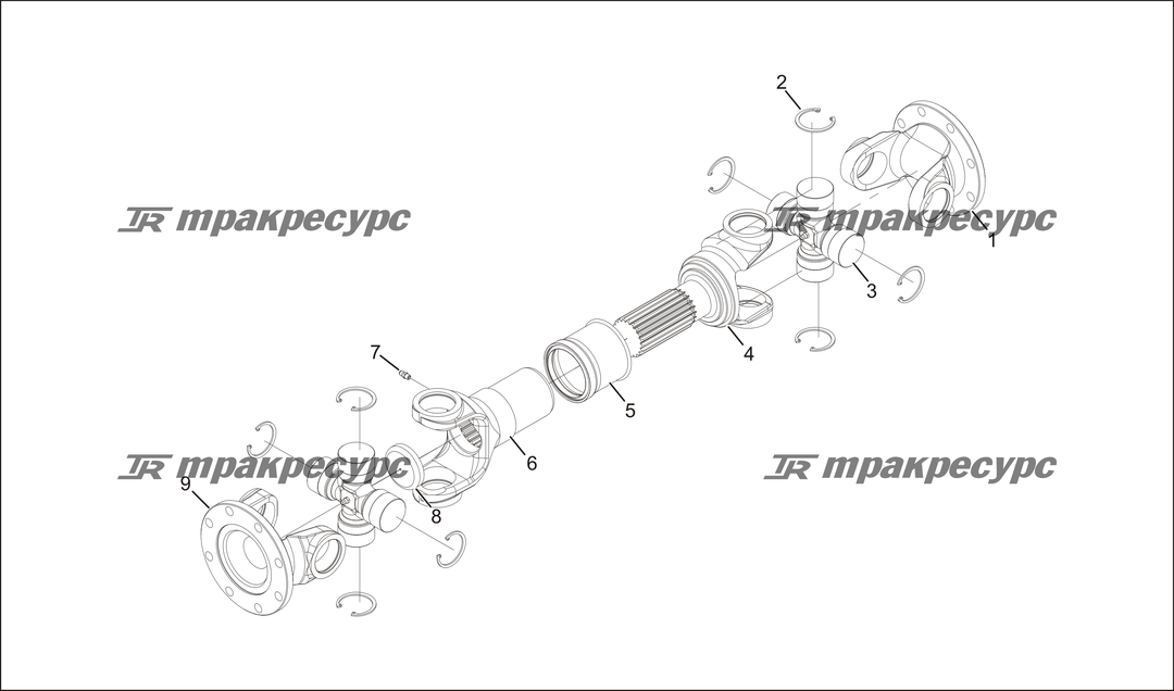 P000025.png