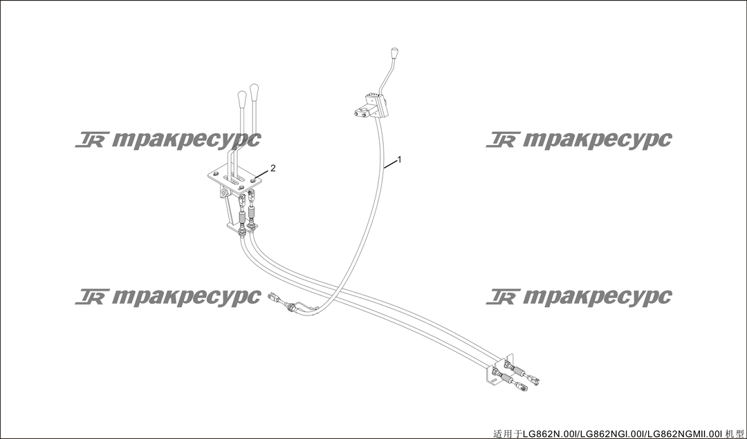 P000025.png