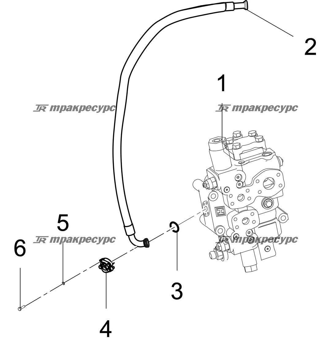 P000027623A2.png