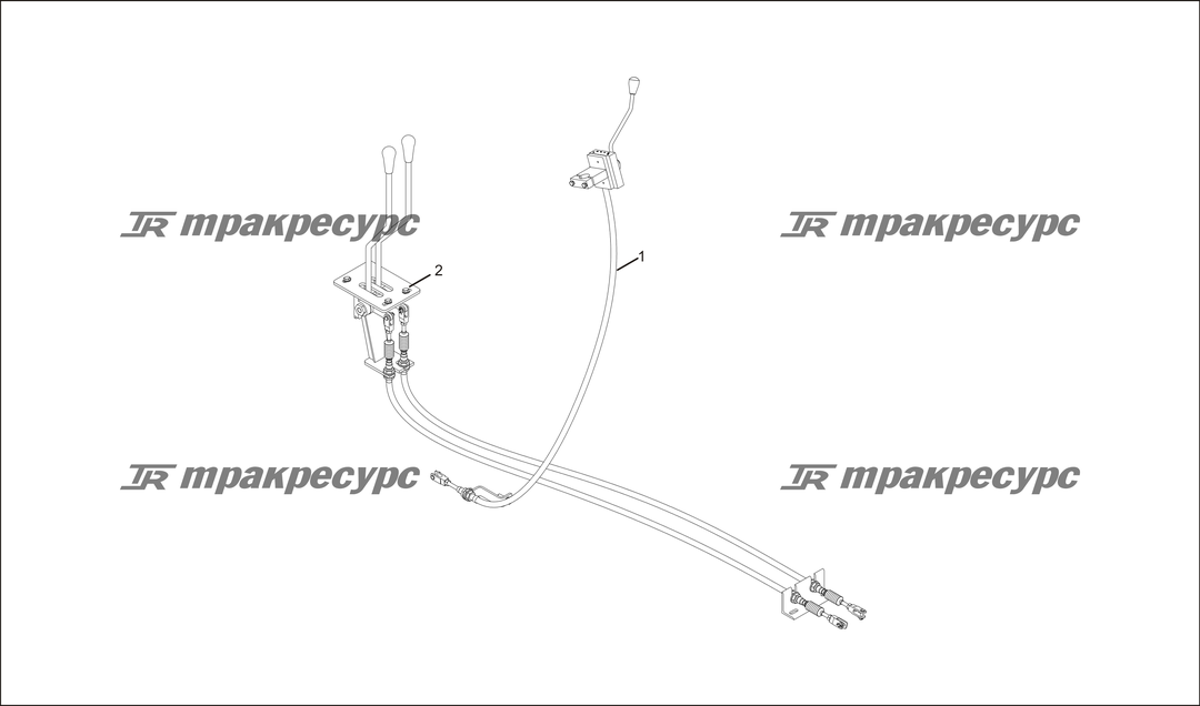 P000027.png