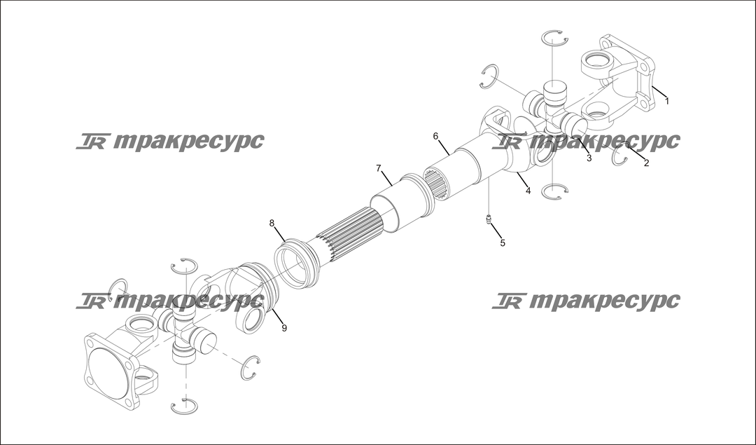 P000027.png