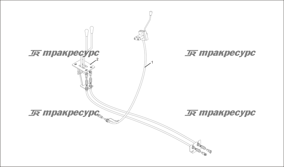 P000027.png