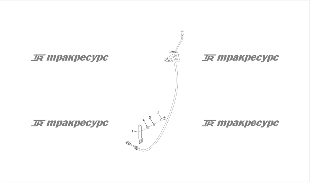 P000027.png