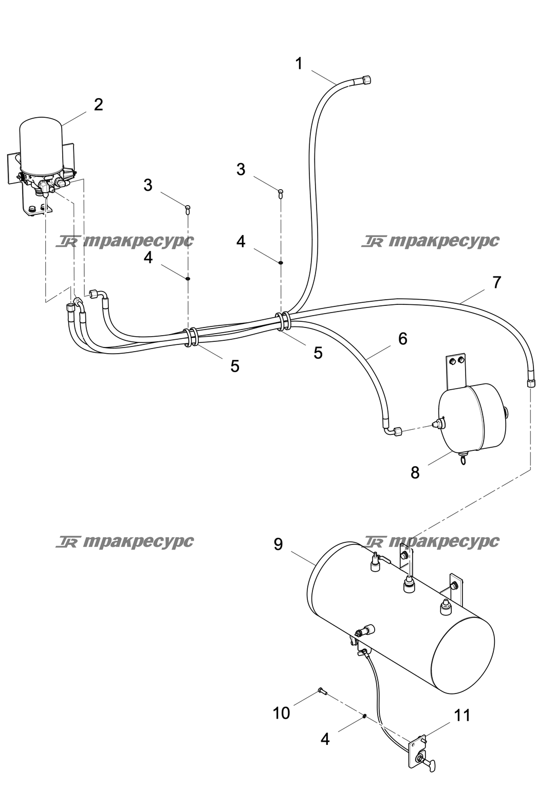 P000028562A2.png