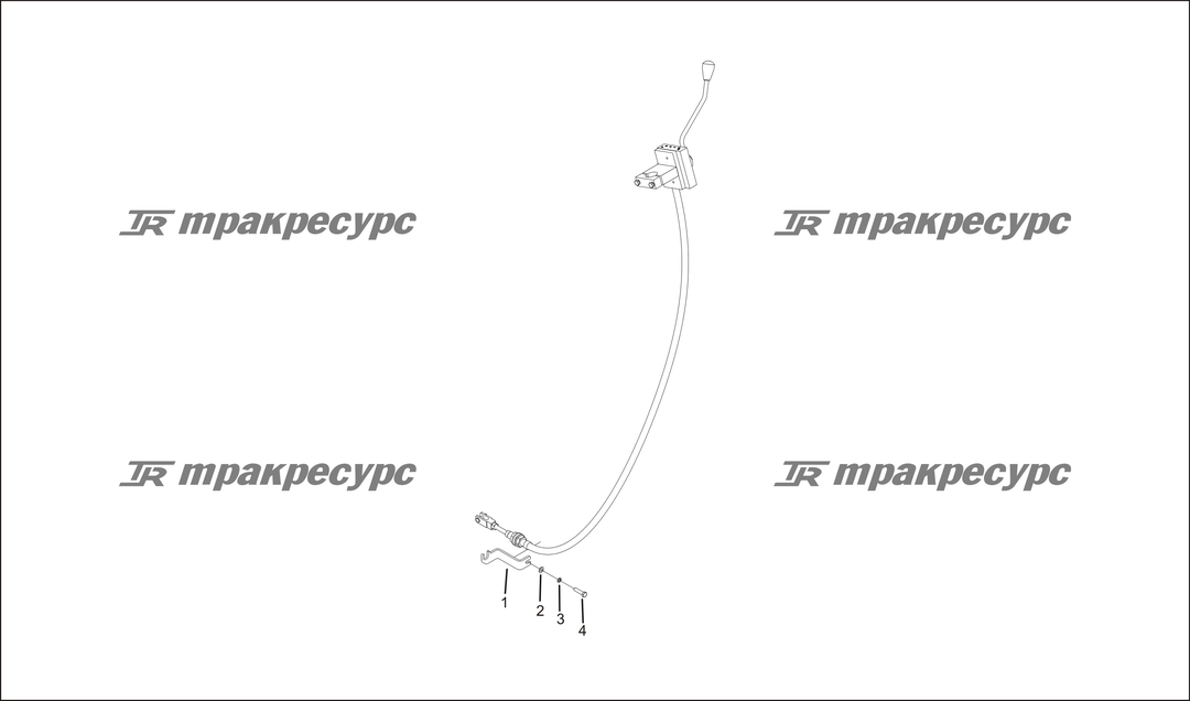 P000029.png