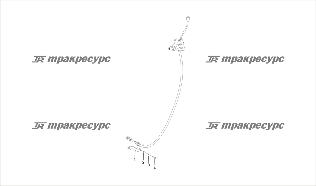 P000029.png