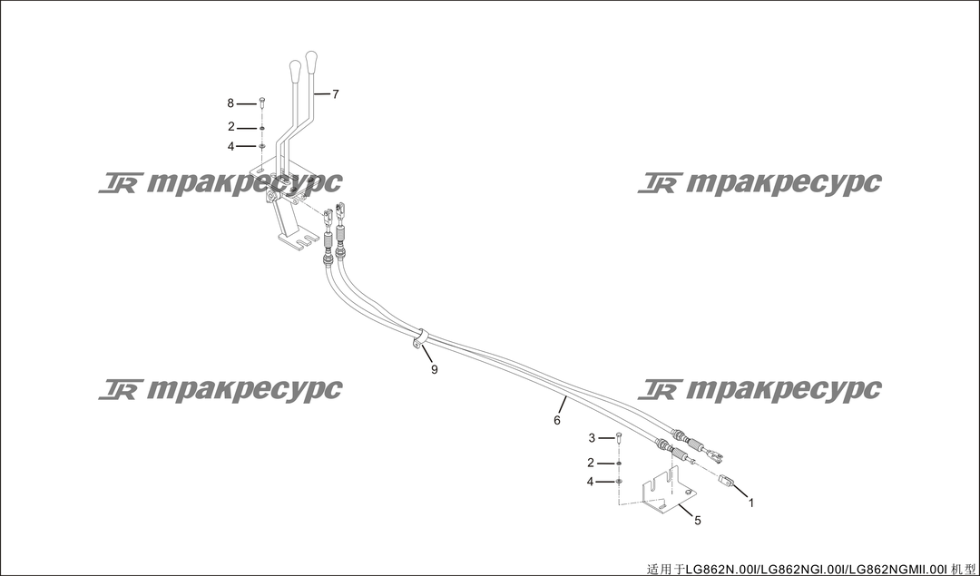 P000029.png