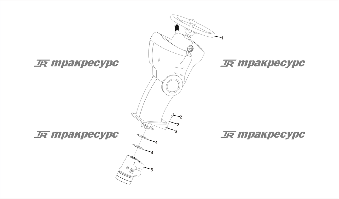 P000029.png
