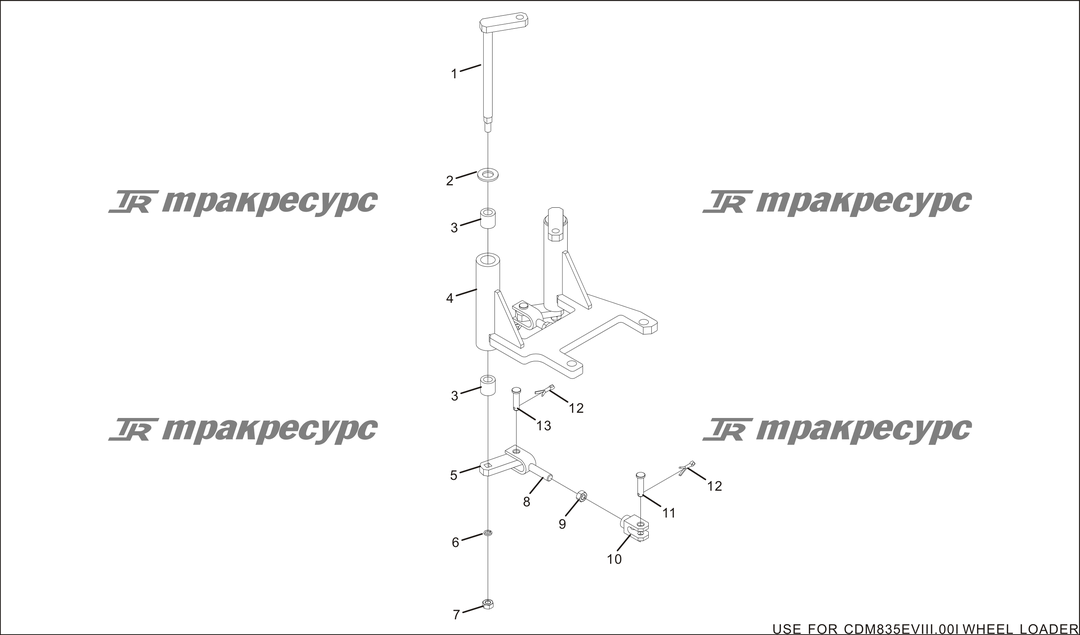 P000029.png