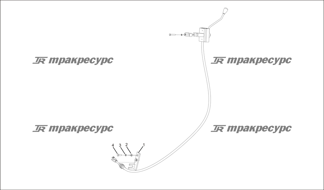 P000029.png