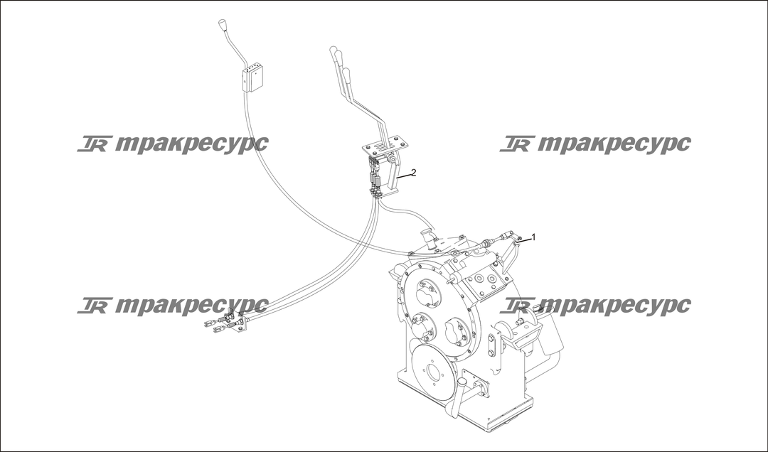 P000029.png