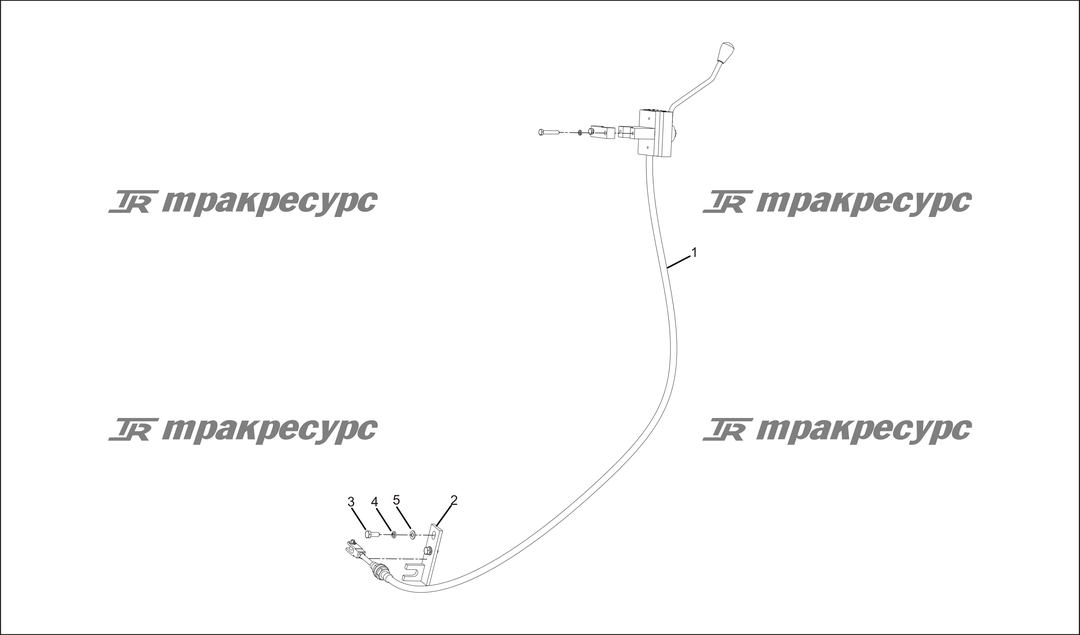 P000029.png