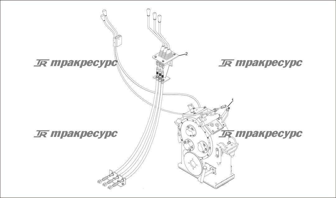 P000031.png