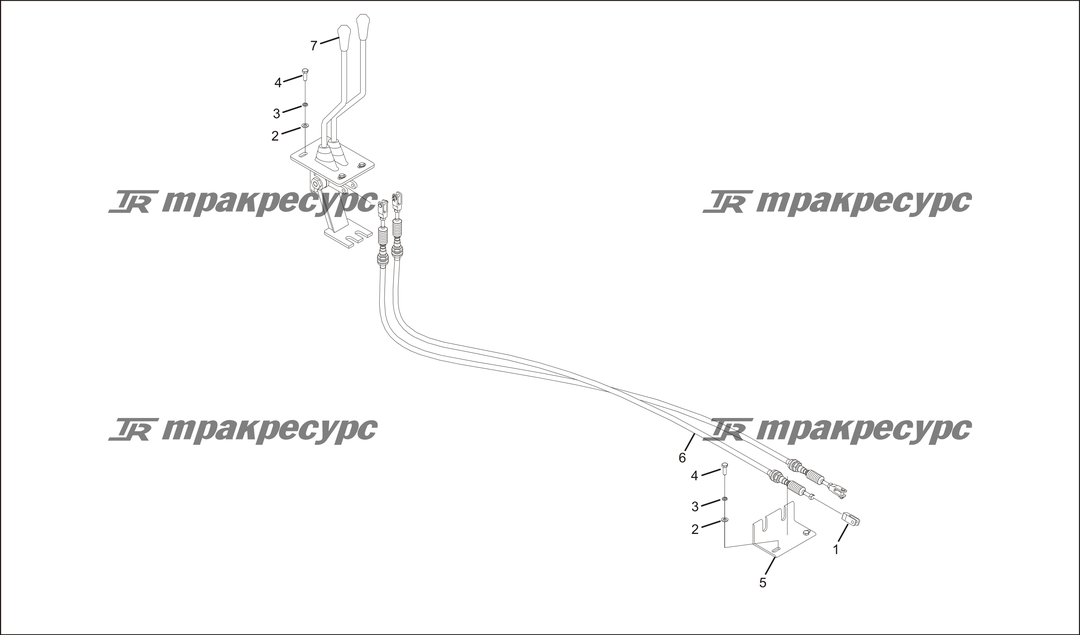 P000031.png