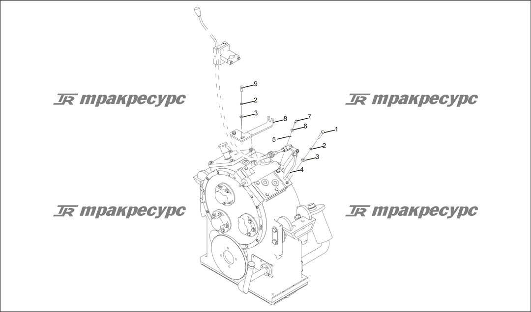P000031.png