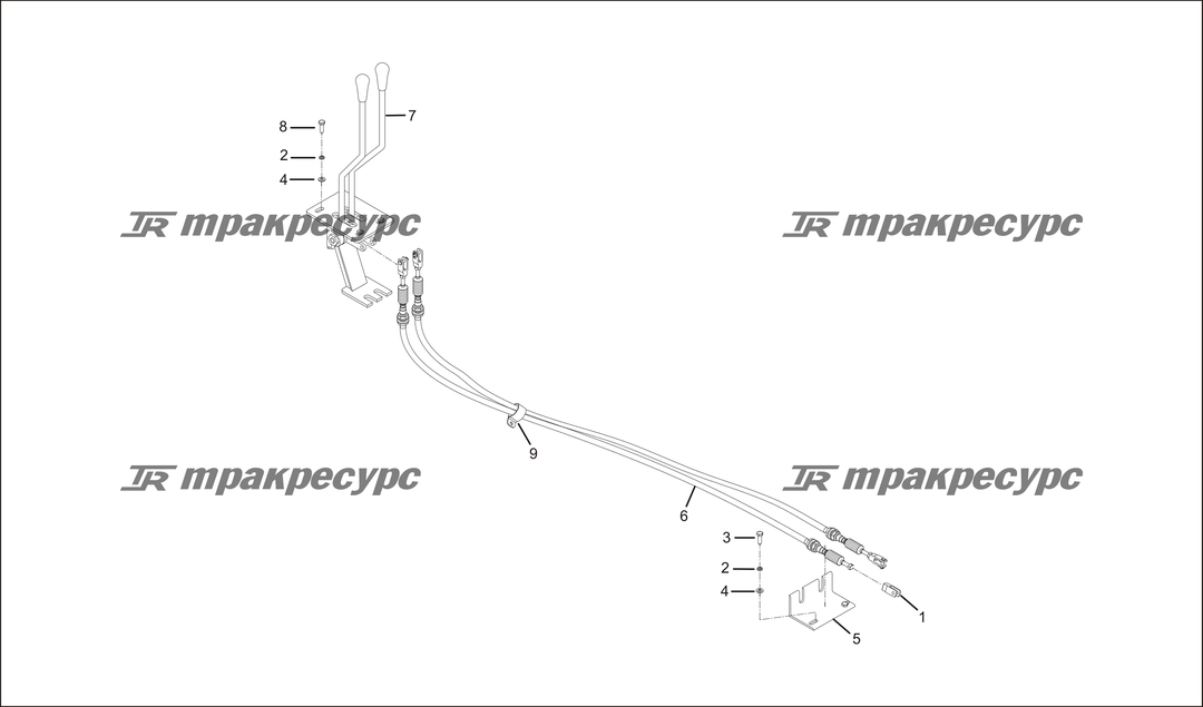 P000031.png