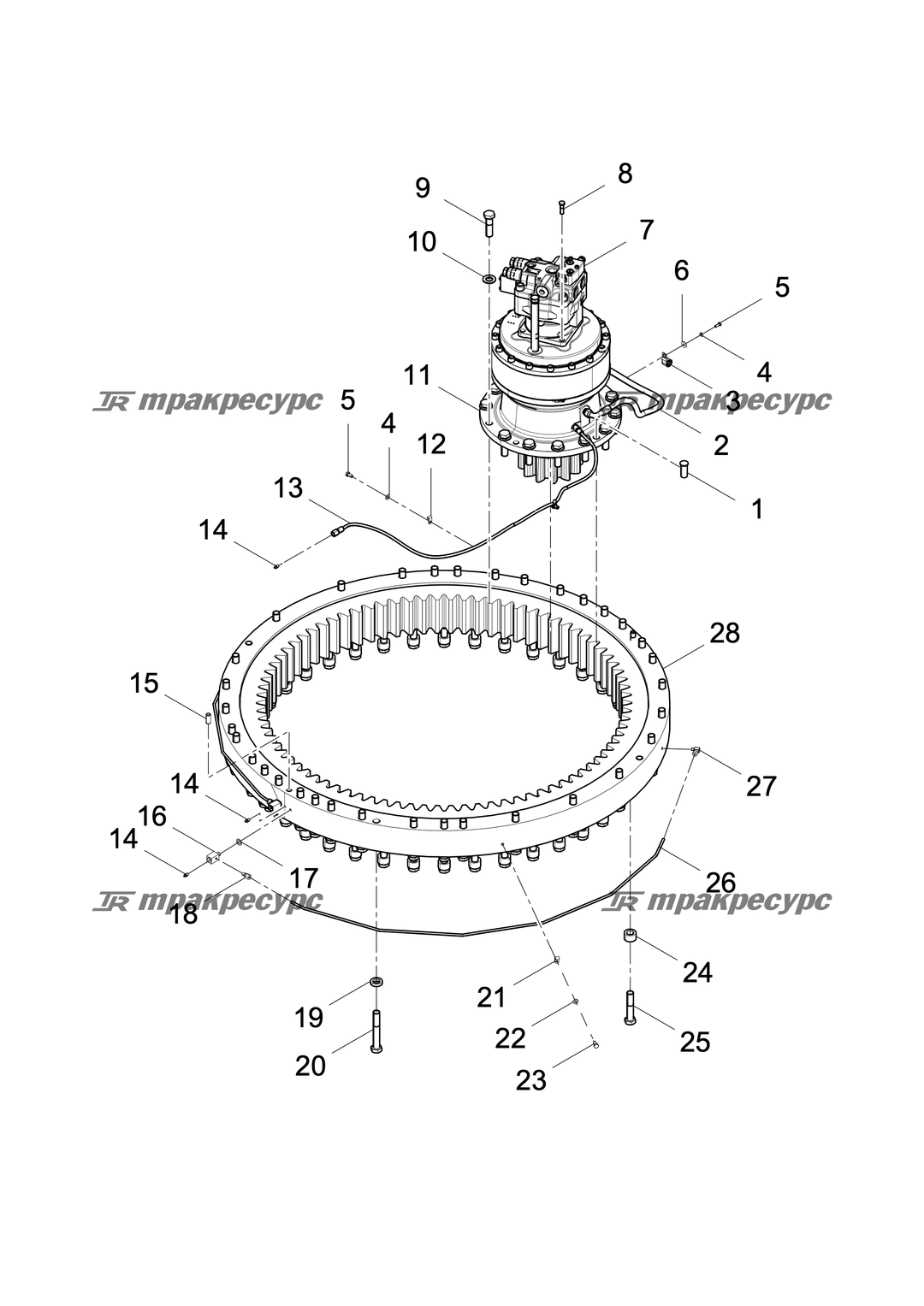 P000032182A2.png