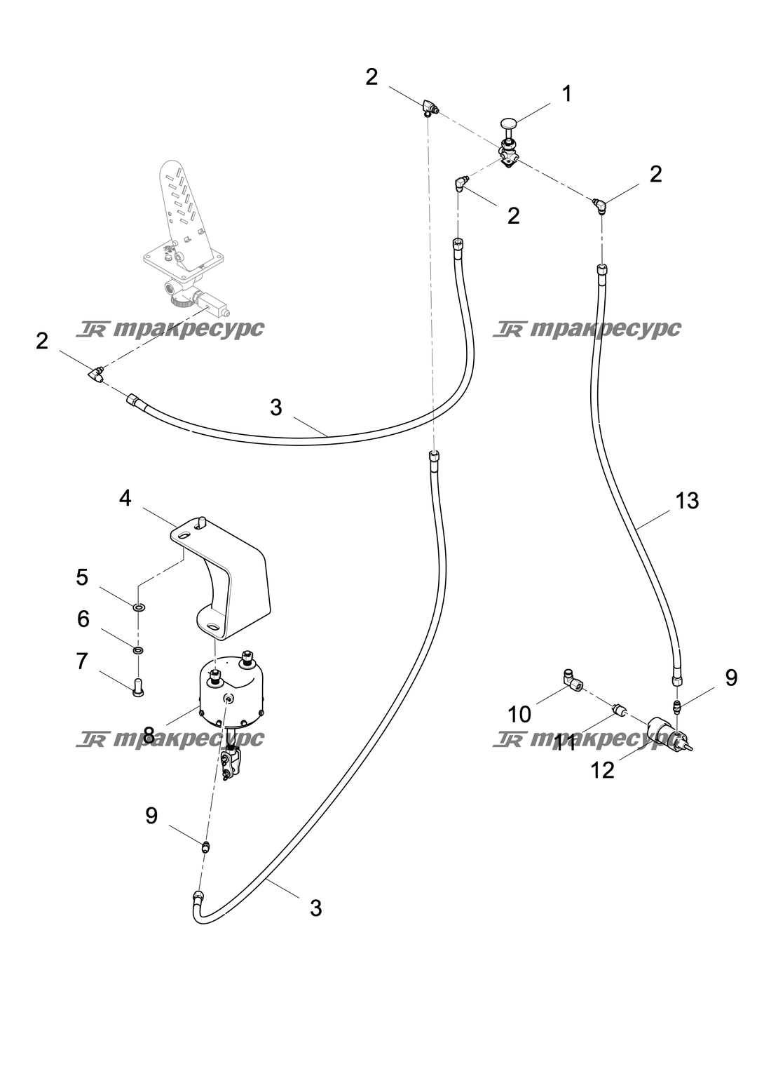 P000032462A2.png