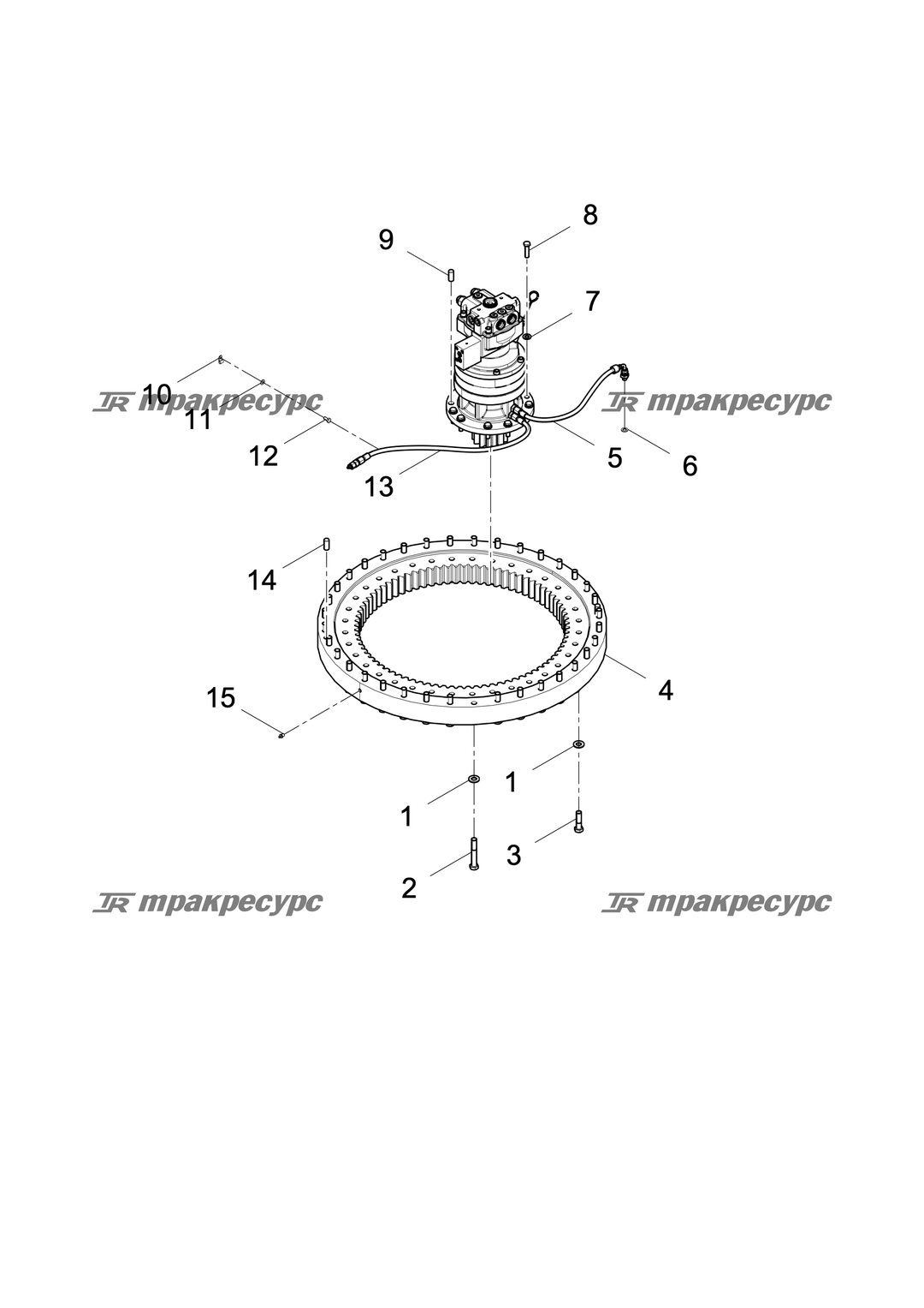 P000033462A2.png