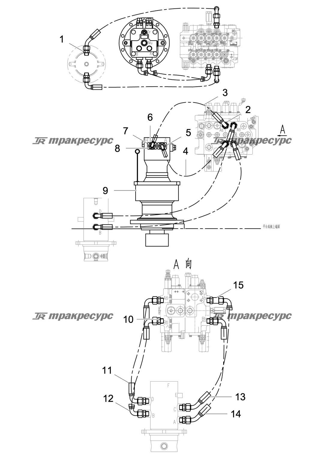 P000034623A2.png