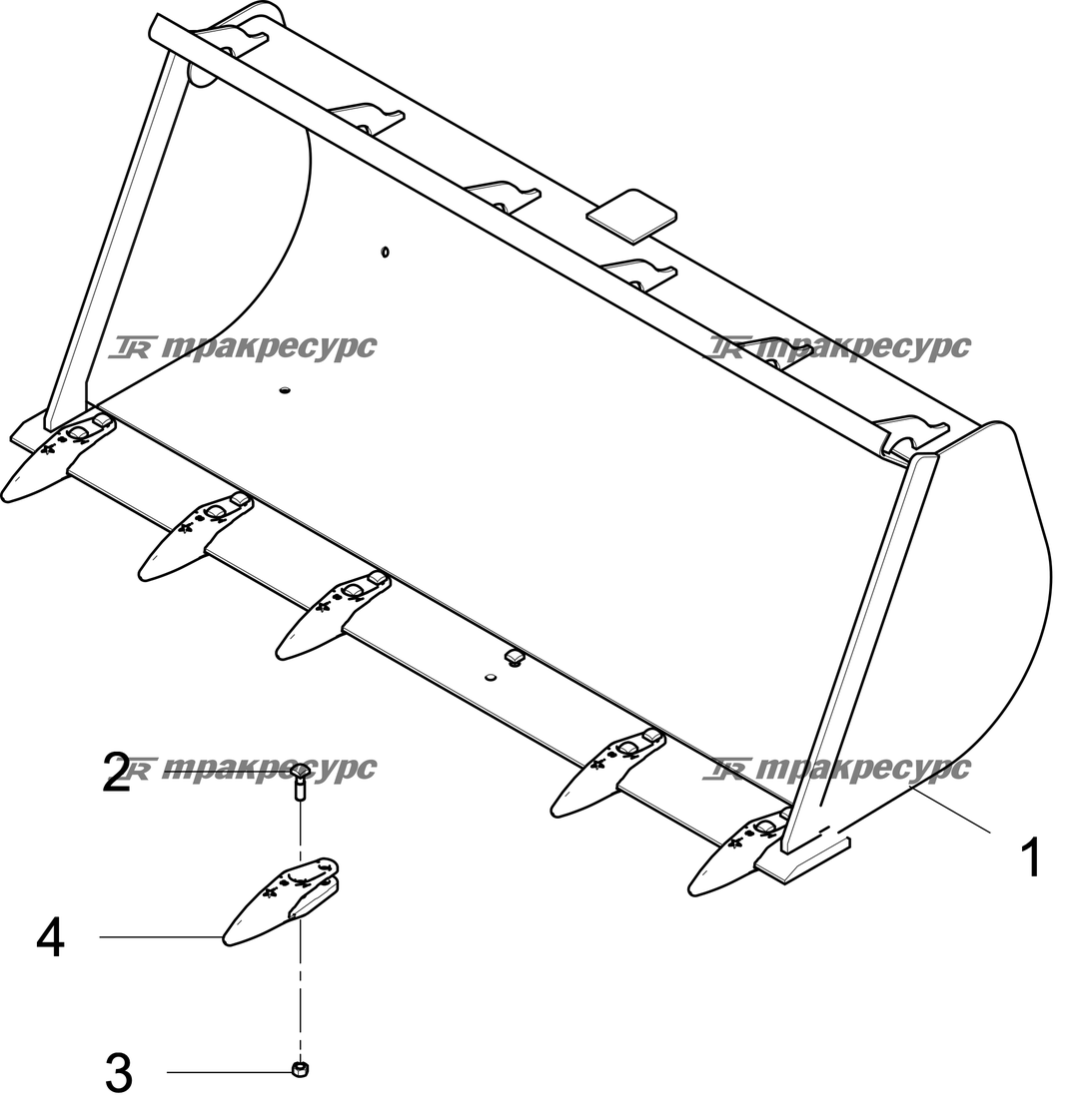 P000034842A2.png