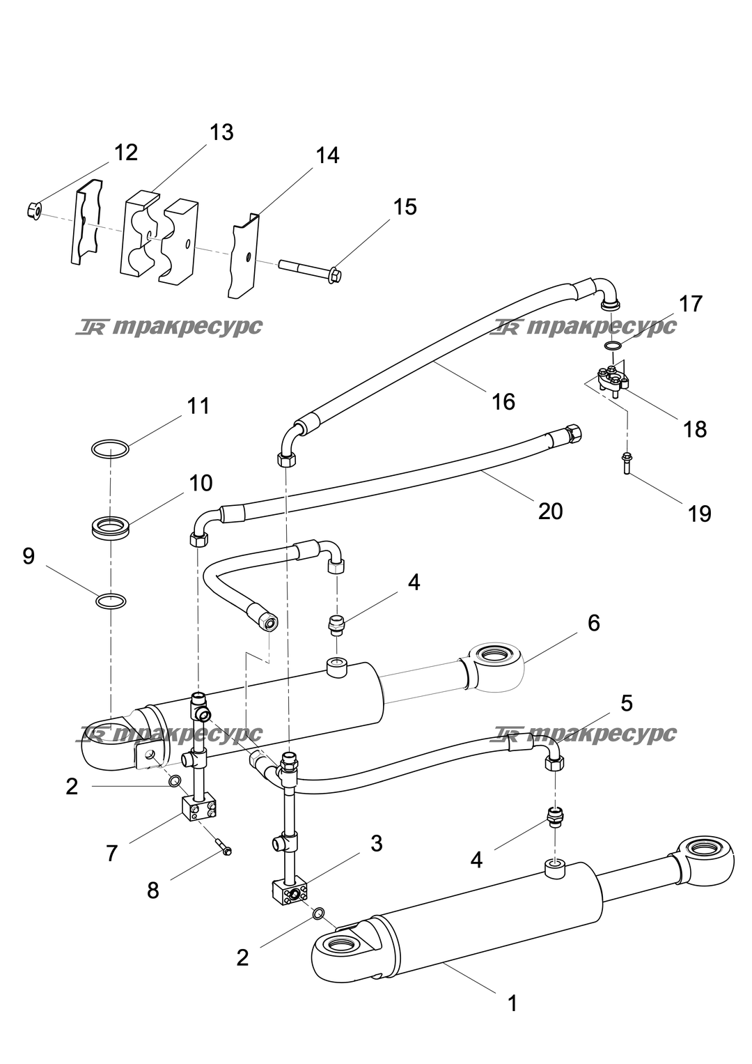P000035243A4.png