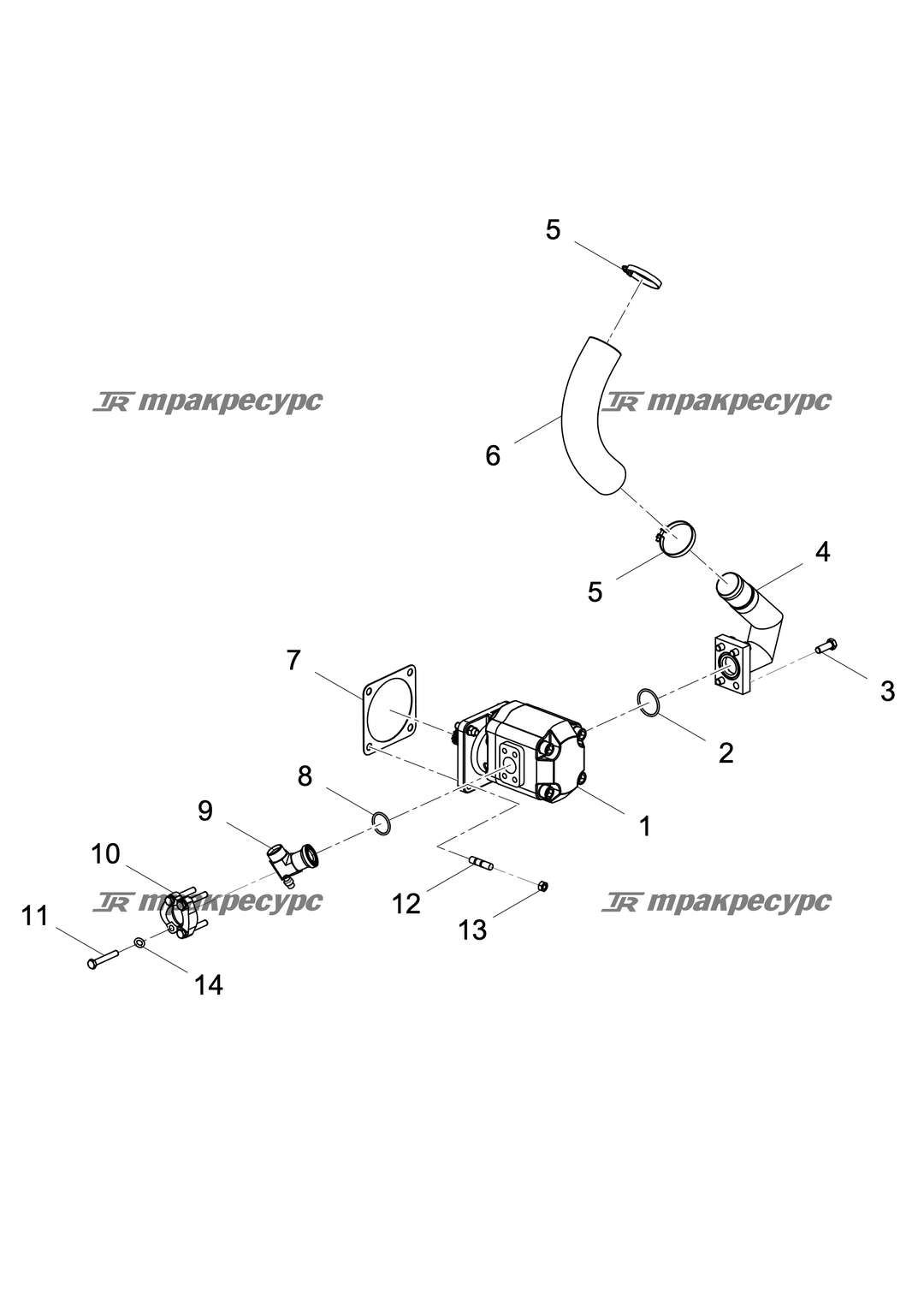 P000037582A2.png