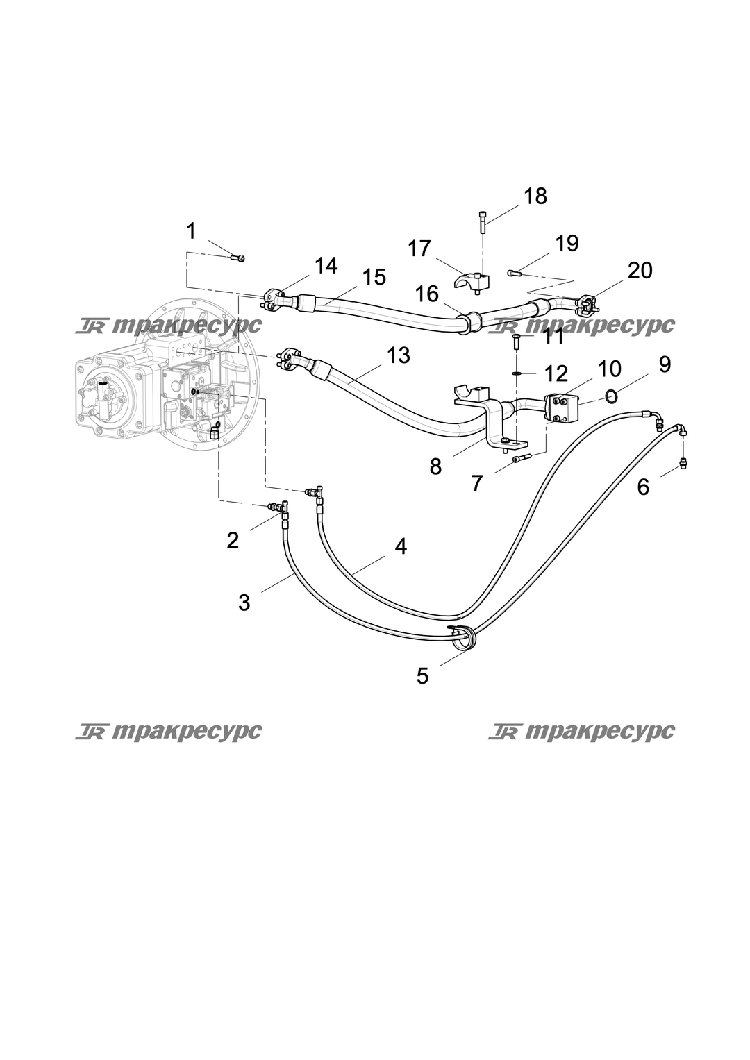 P000039442A2.png