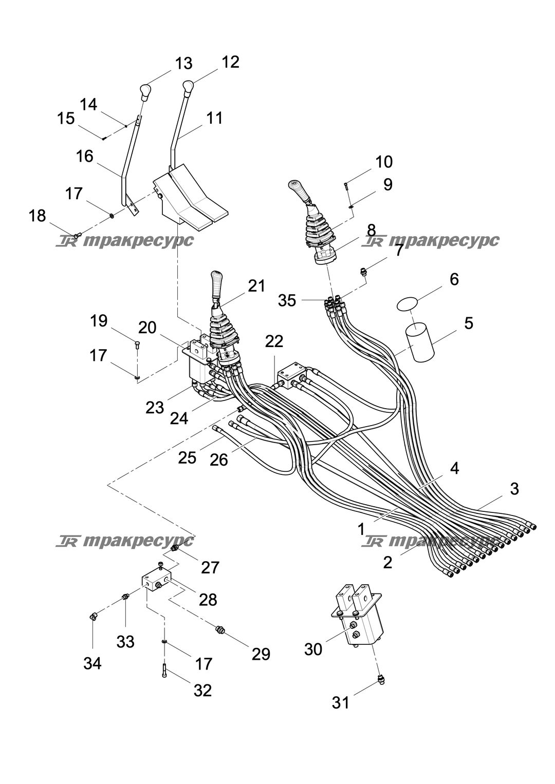 P000039462A2.png