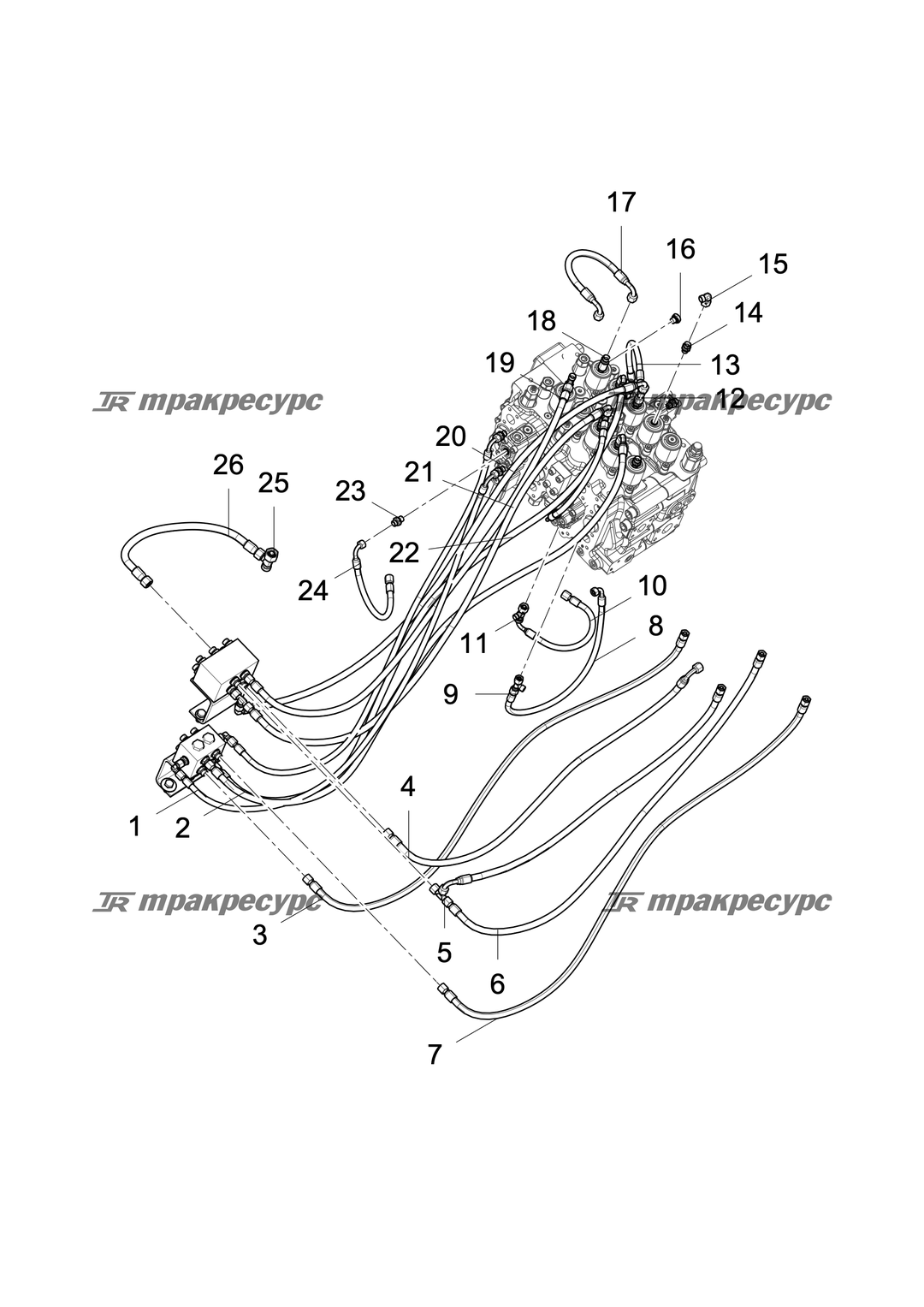 P000039482A2.png