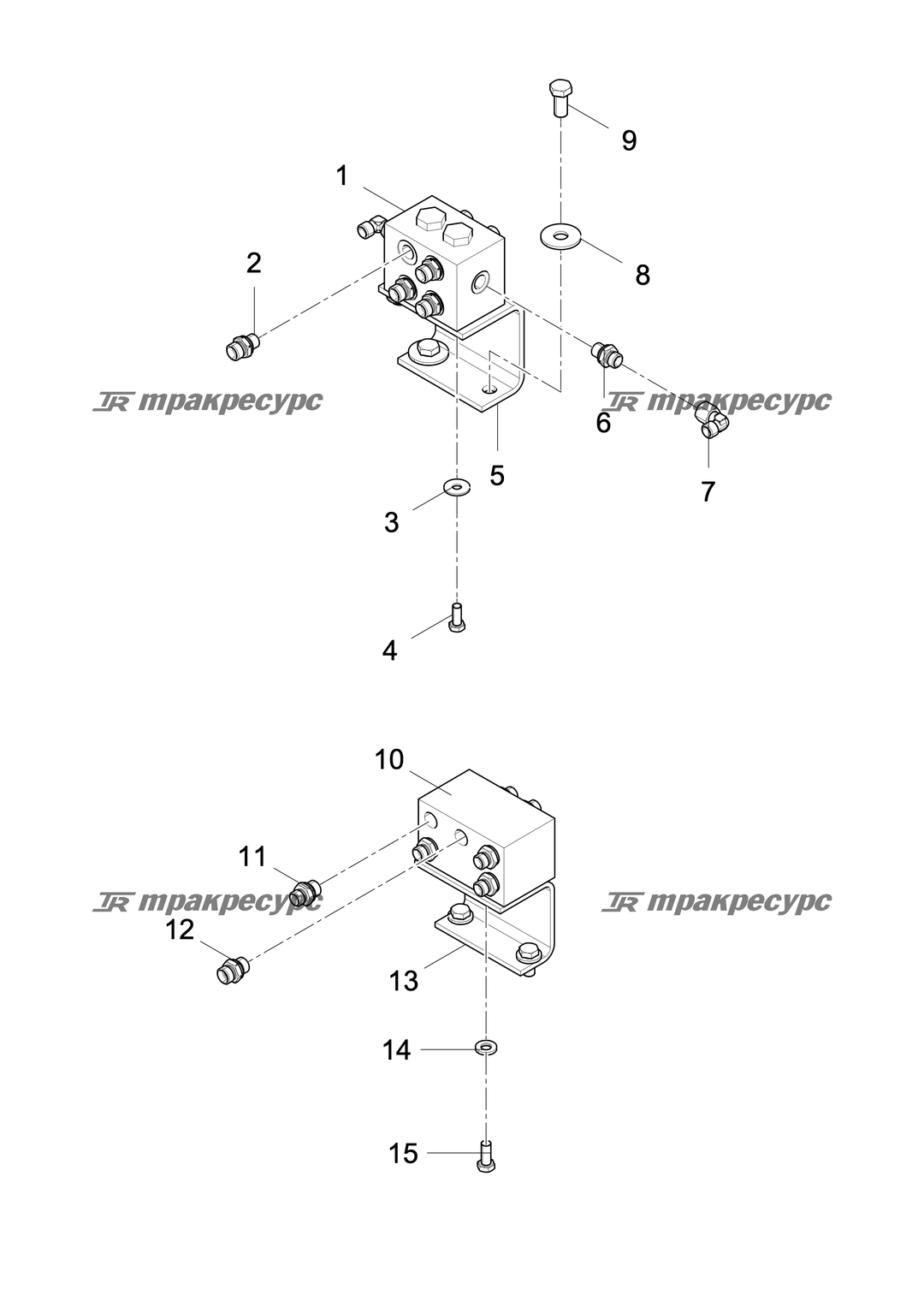 P000039502A2.png