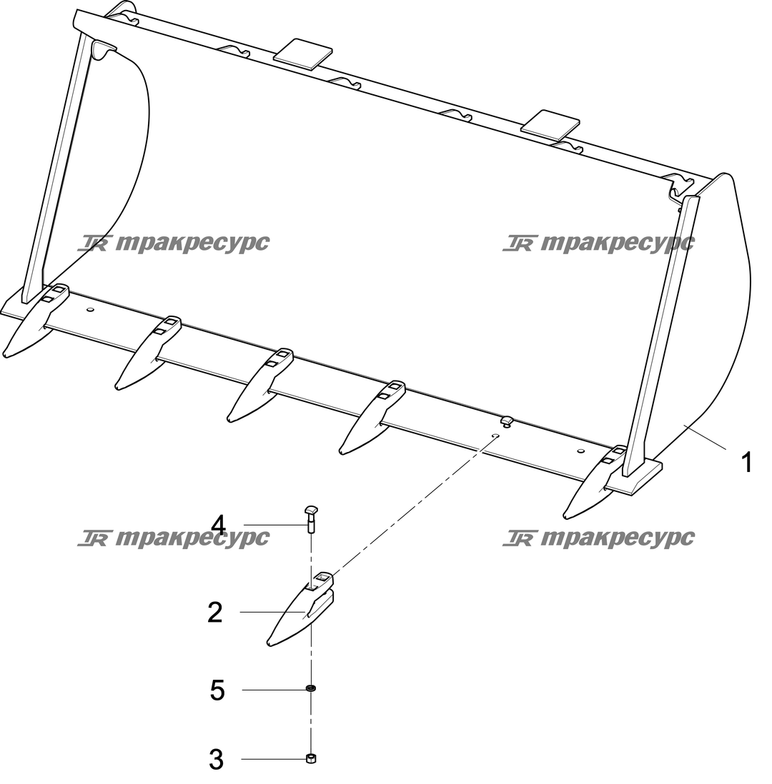 P000040702A2.png