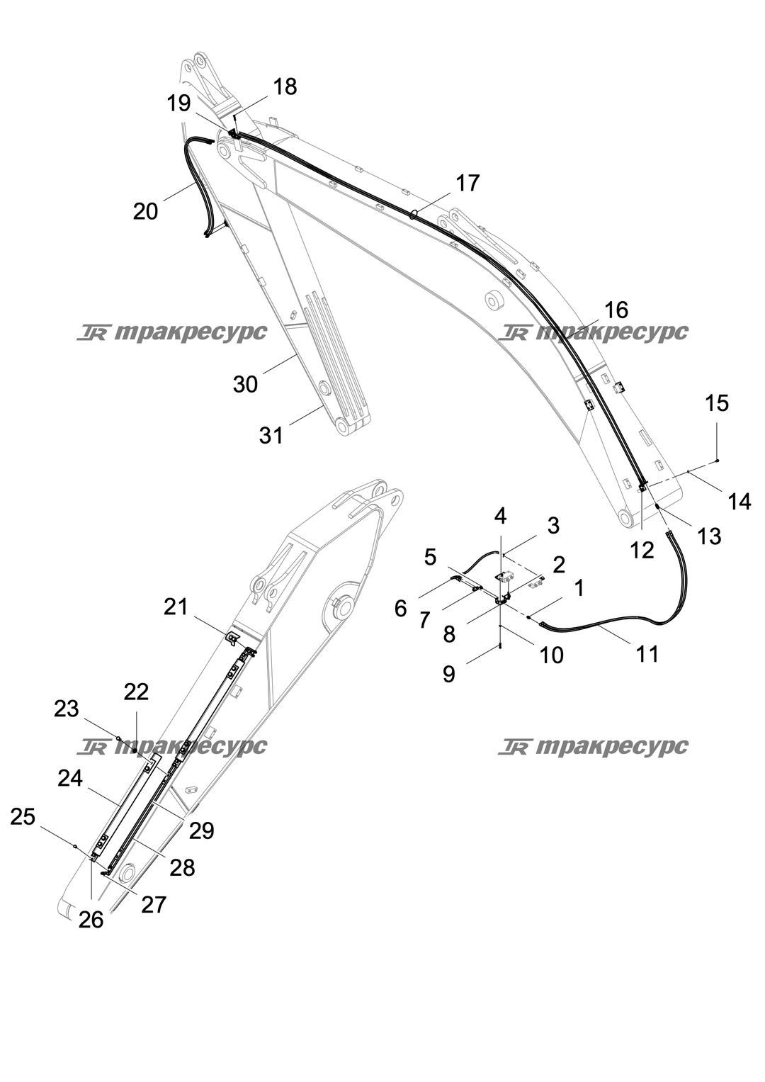 P000041102A2.png
