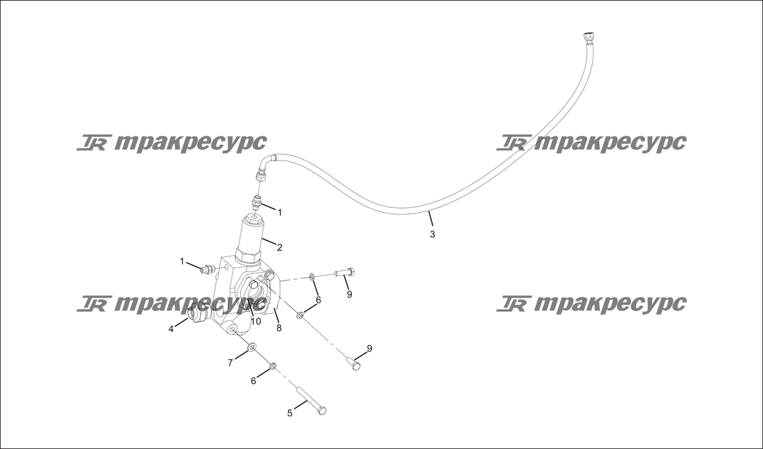 P000041.png