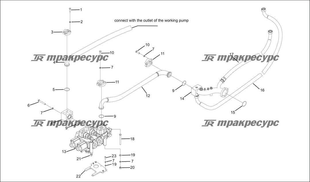 P000041.png