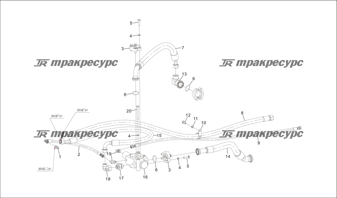 P000041.png