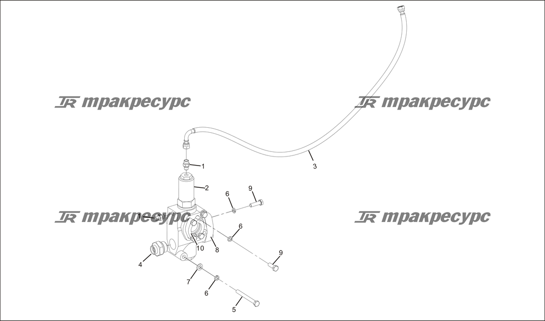 P000041.png