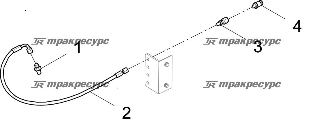 P000042142A2.png