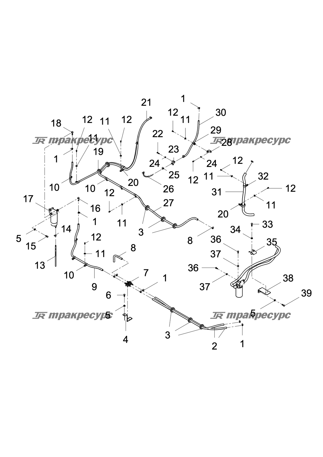 P000043342B2.png