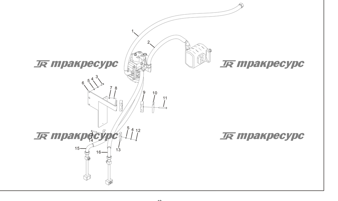 P000043.png