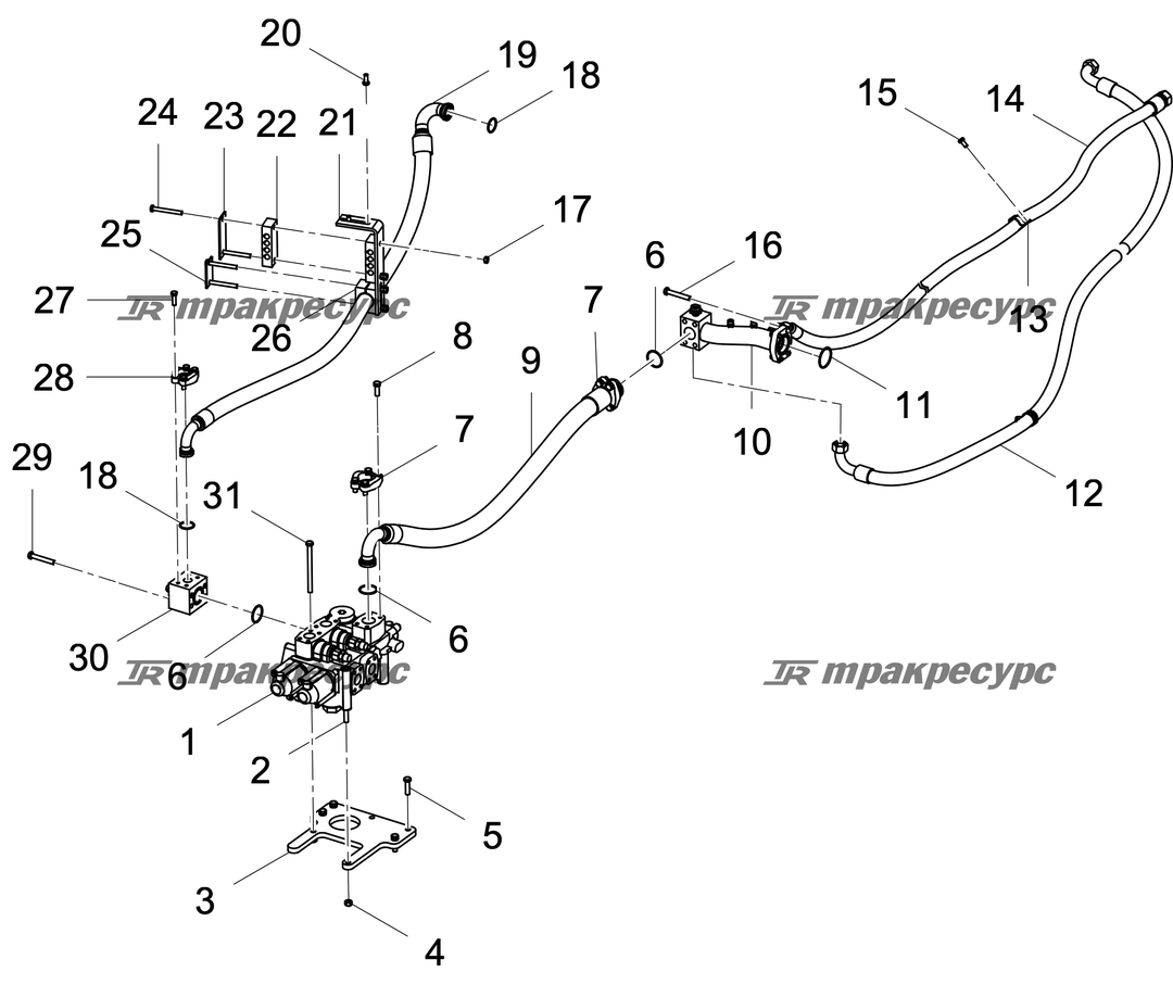 P000045022A2.png