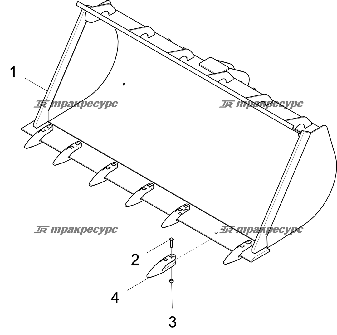 P000046322A2.png
