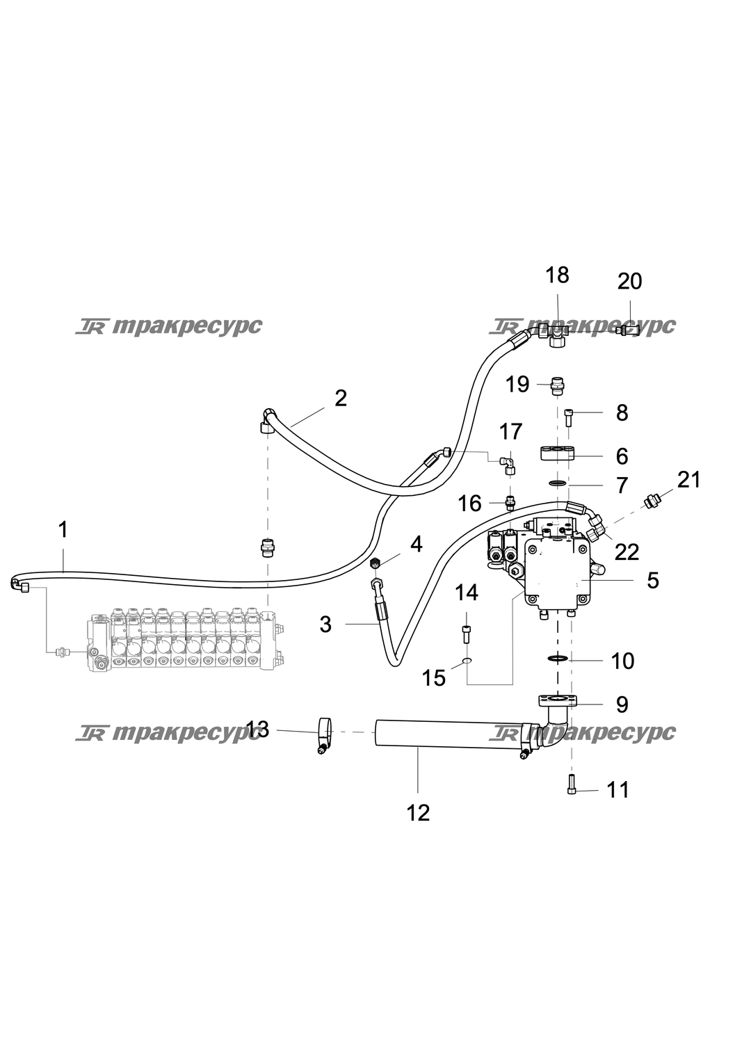 P000047482A2.png