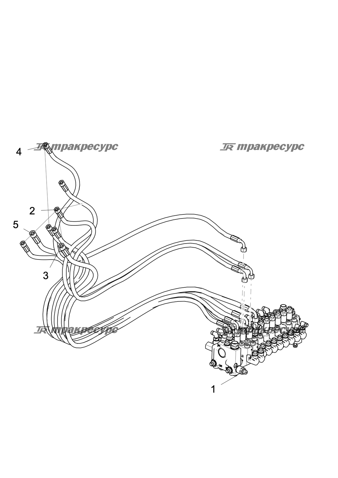 P000047522A2.png
