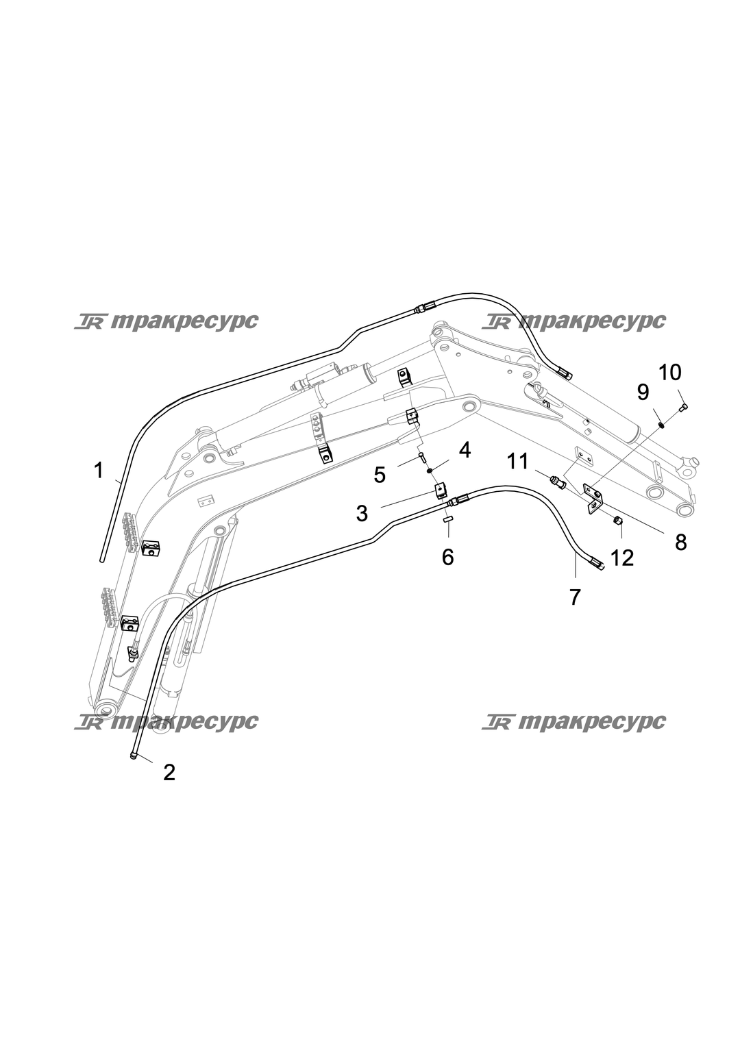 P000047982A2.png