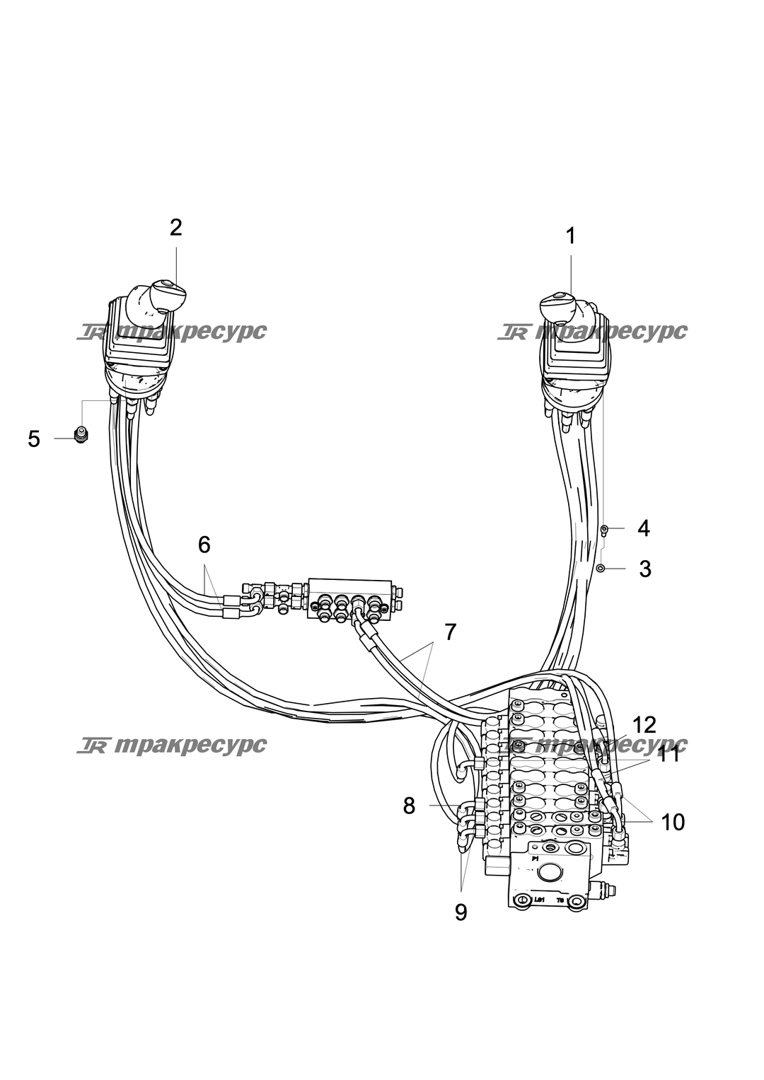 P000048982A2.png