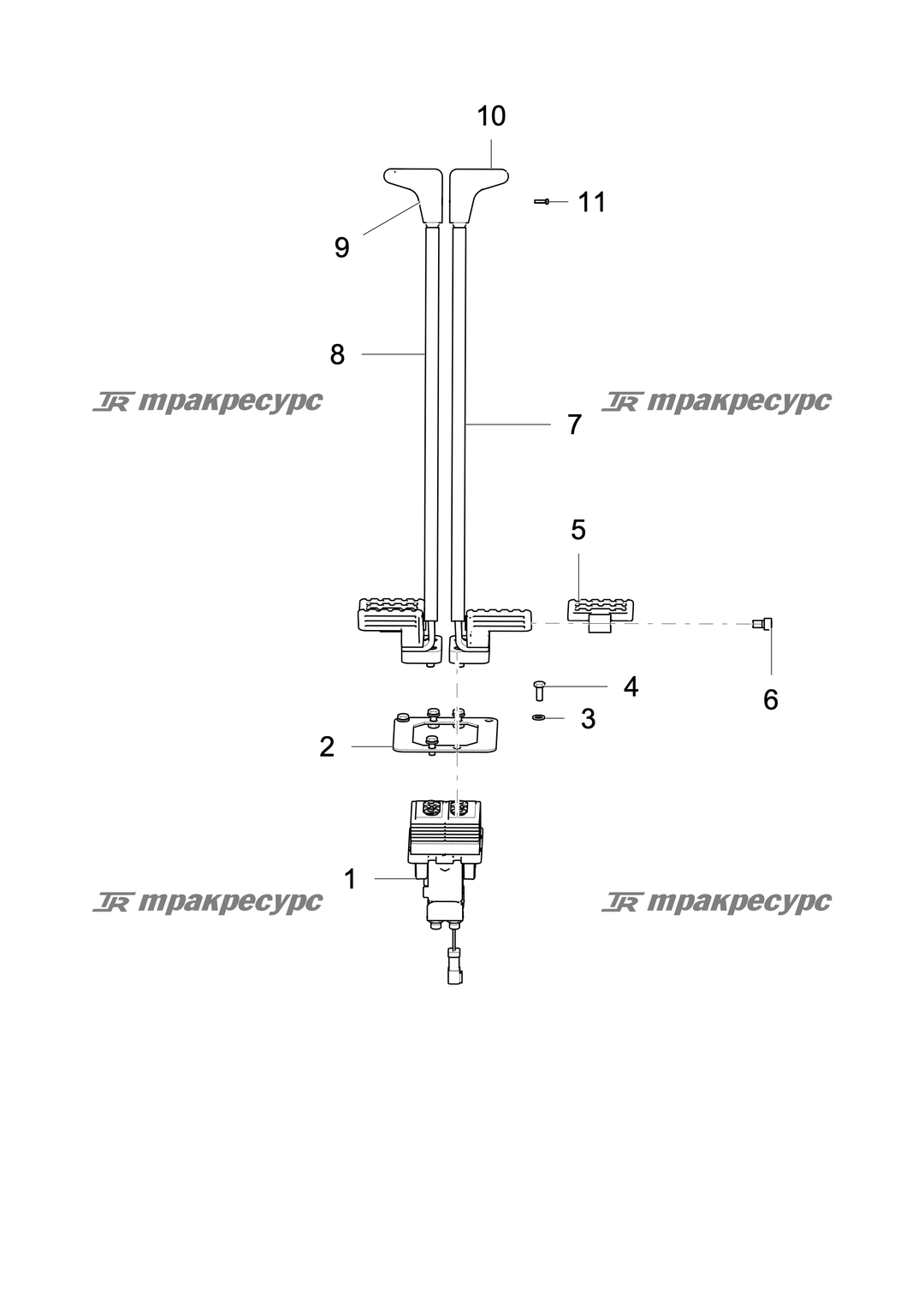 P000049022A2.png